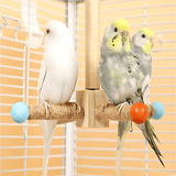 Natural Wooden Bird Perch – Chew and Rest Perch for Bird Cages