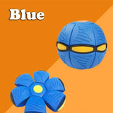 Dog Disc Ball Toy — 2-in-1 Fetch & Rolling Play for Active Dogs