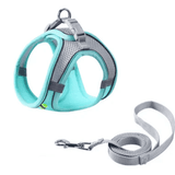 No-Pull Dog Harness and Leash Set — Adjustable Comfort for Daily Walks