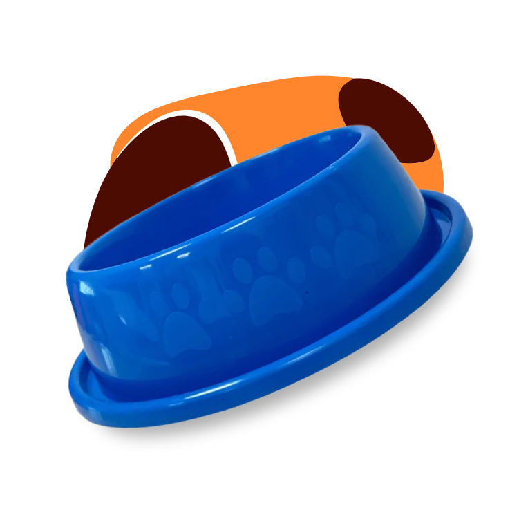 Feeders & Water Dispensers