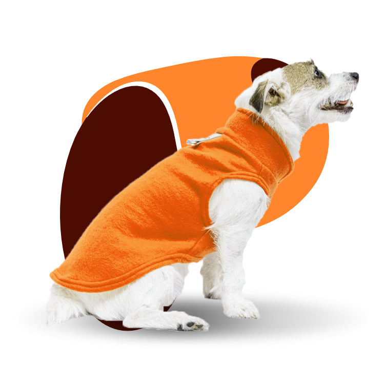 Clothing & Accessories