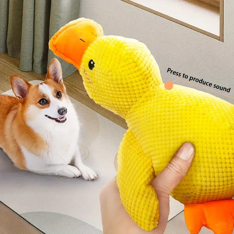 Calming Duck Dog Toy – Quack, Play & Comfort