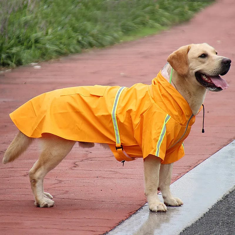 Waterproof Dog Raincoat — Dry & Comfortable Walks in Wet Weather