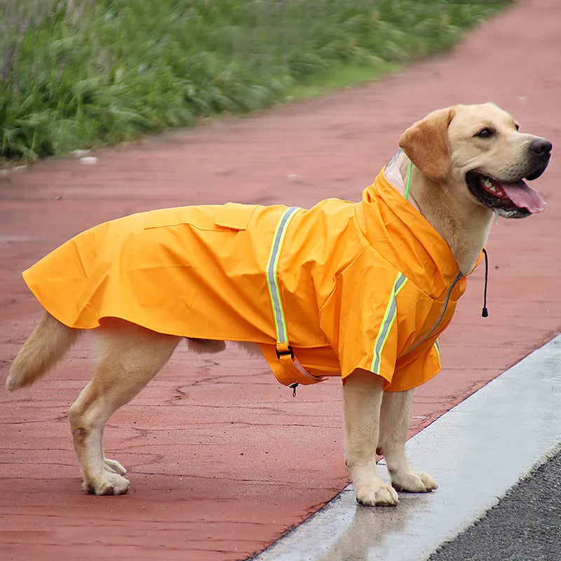 Waterproof Dog Raincoat – Walks Made Easy, Rain or Shine