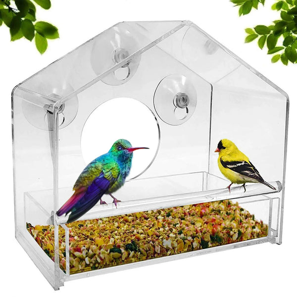 Clear Acrylic Window Bird Feeder – Strong Suction & Squirrel-Proof Design