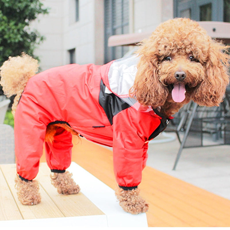 Dog Raincoat – Waterproof Comfort for Small & Medium Dogs