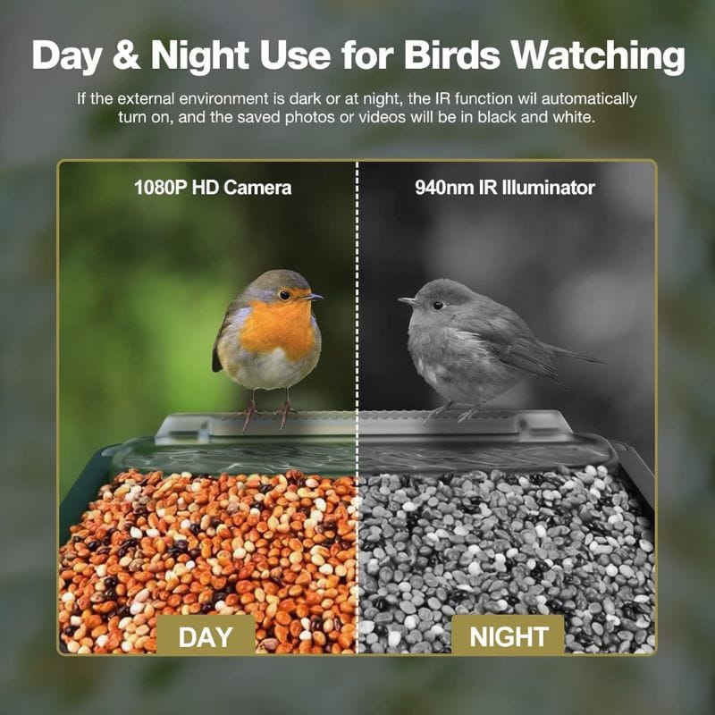 Smart Bird Feeder Camera – PIR Motion Detection, Night Vision & Dual Feeder