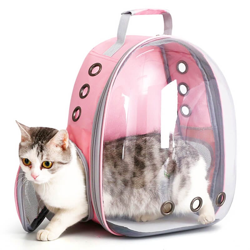 Panoramic Pet Carrier Backpack – Comfort & Clear View Travel