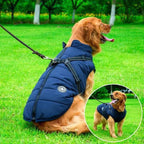 Waterproof Winter Dog Jacket with Sherpa Lining and Built-In Harness