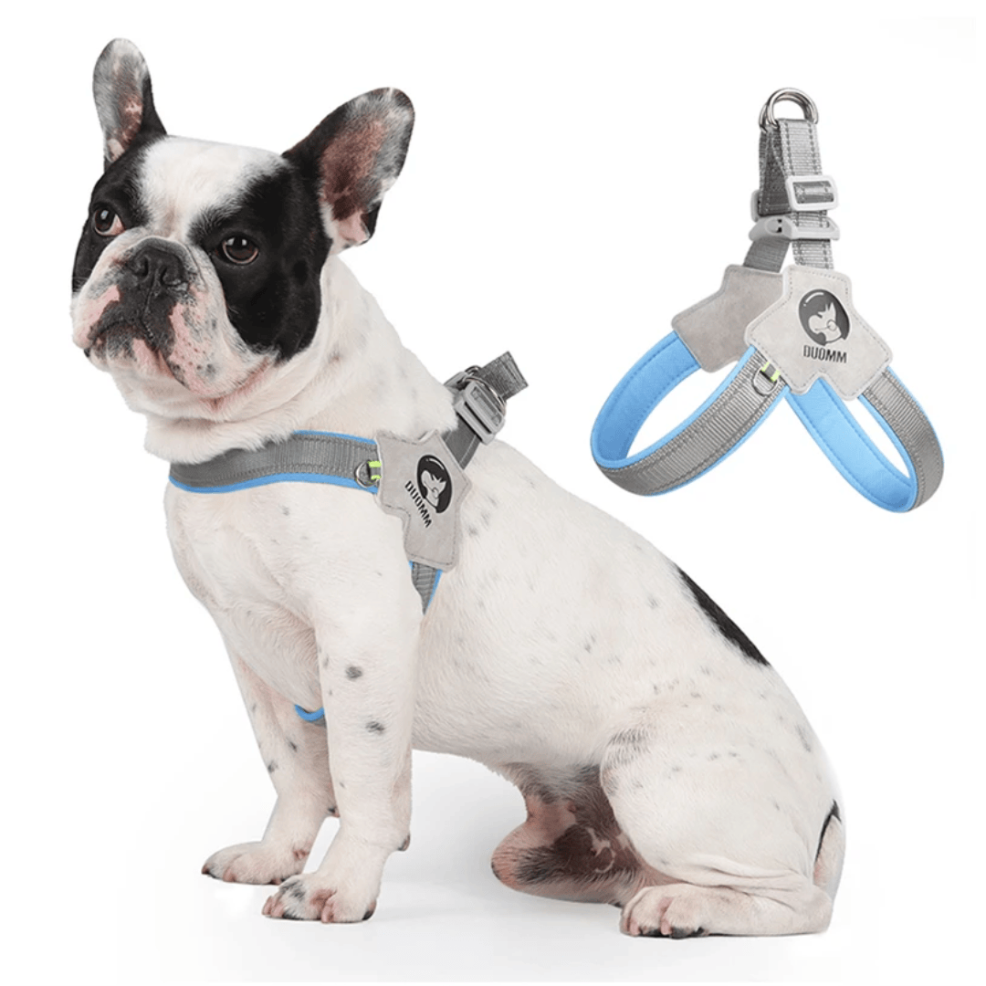 Reflective Dog Harness — Adjustable Fit for Safer Daily Walks