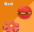 Dog Disc Ball Toy — 2-in-1 Fetch & Rolling Play for Active Dogs