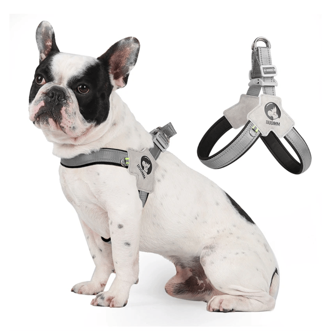 Reflective Dog Harness — Adjustable Fit for Safer Daily Walks