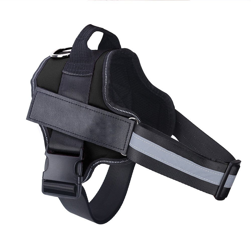 Personalized No-Pull Reflective Dog Harness — Adjustable, Secure & Safer Walks