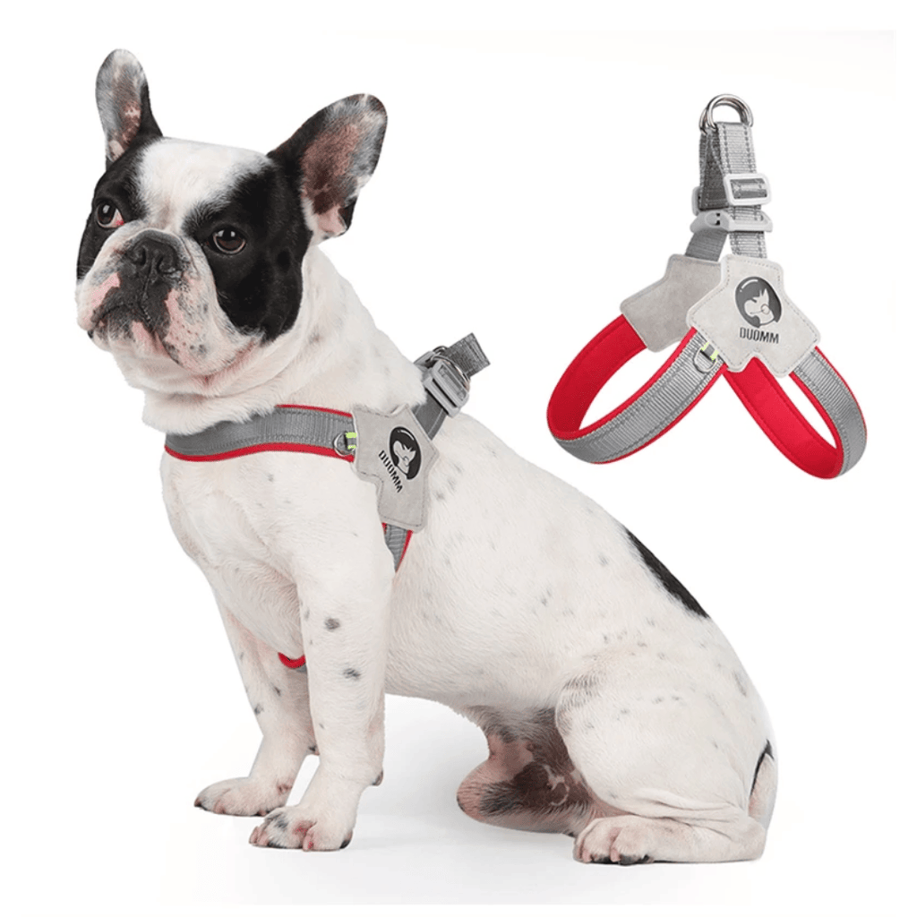 Reflective Dog Harness — Adjustable Safety Fit for Everyday Walks