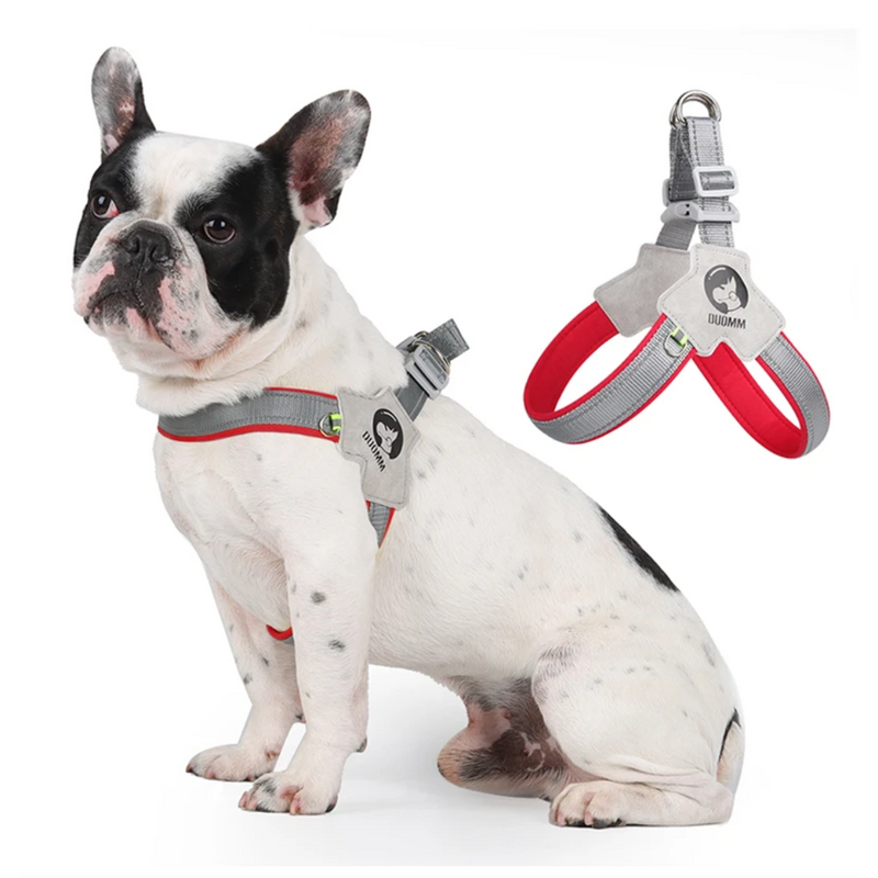 Reflective Dog Harness – Comfortable, Safe & Breathable for Daily Walks