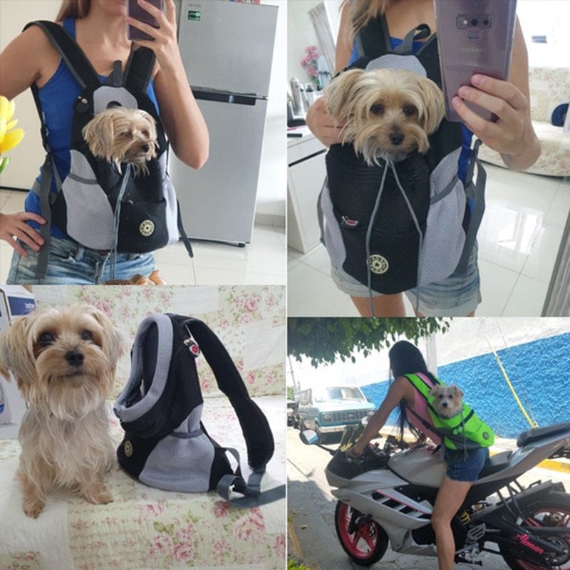 Pet Carrier Backpack – Breathable Travel Backpack for Small Dogs & Cats