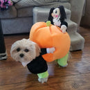 Dog Pumpkin Halloween Costume – Fun & Cozy Outfit