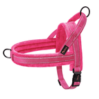 Comfortable Dog Harness — Soft Padded Fit for Everyday Walks
