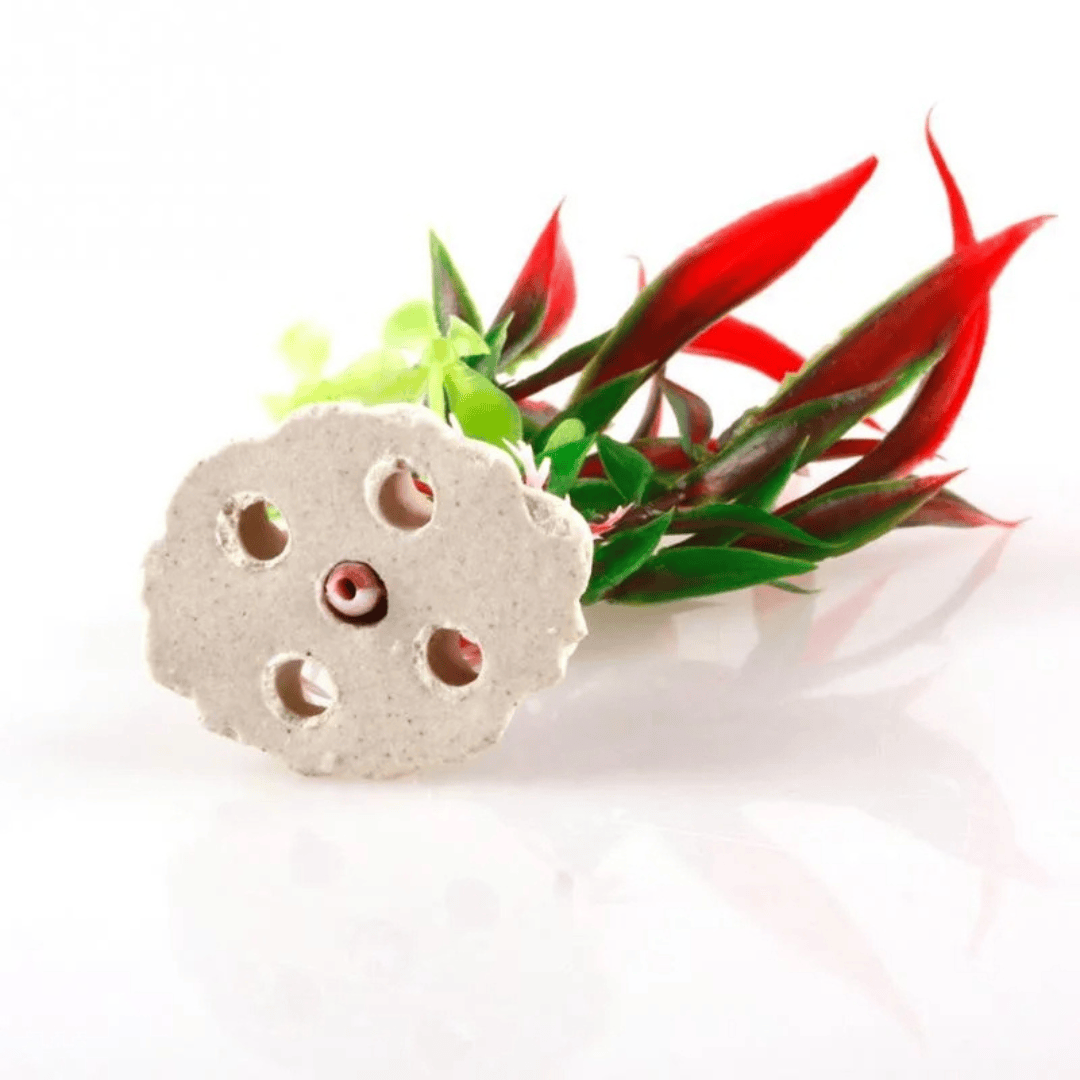 Aquarium Plant Decoration – Realistic Look, Zero Maintenance