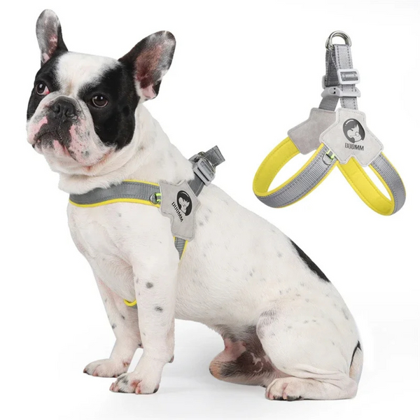 Reflective Dog Harness – Comfortable, Safe & Breathable for Daily Walks