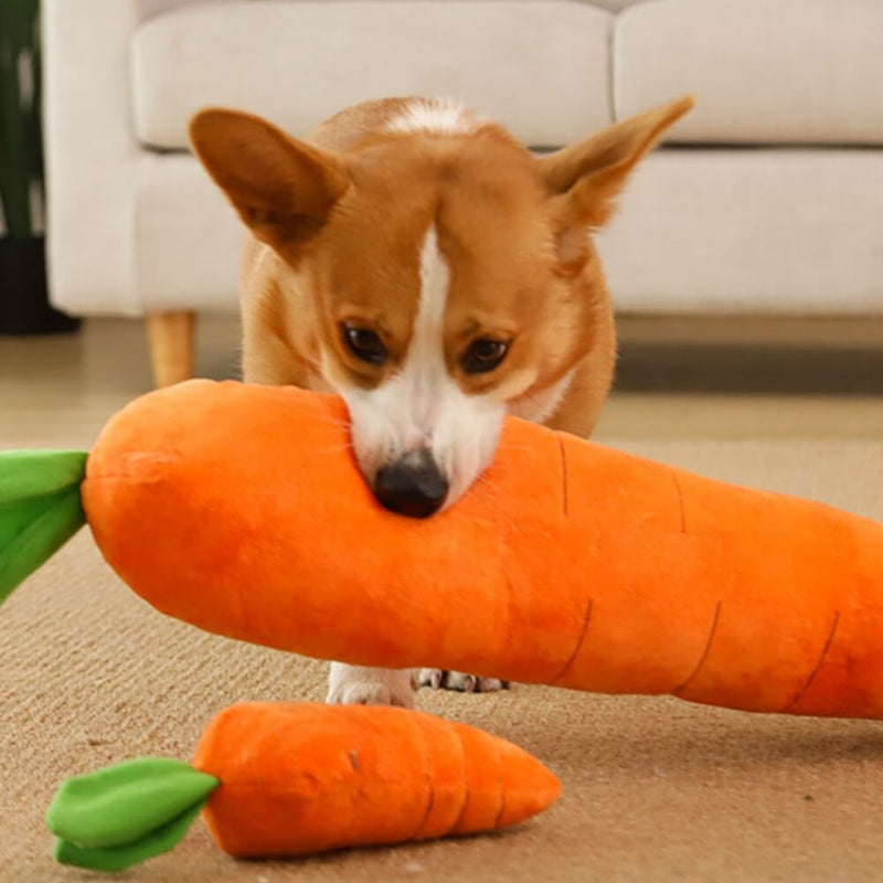 Carrot Squeaky Plush Dog Toy – Interactive Fun for Happy Pups