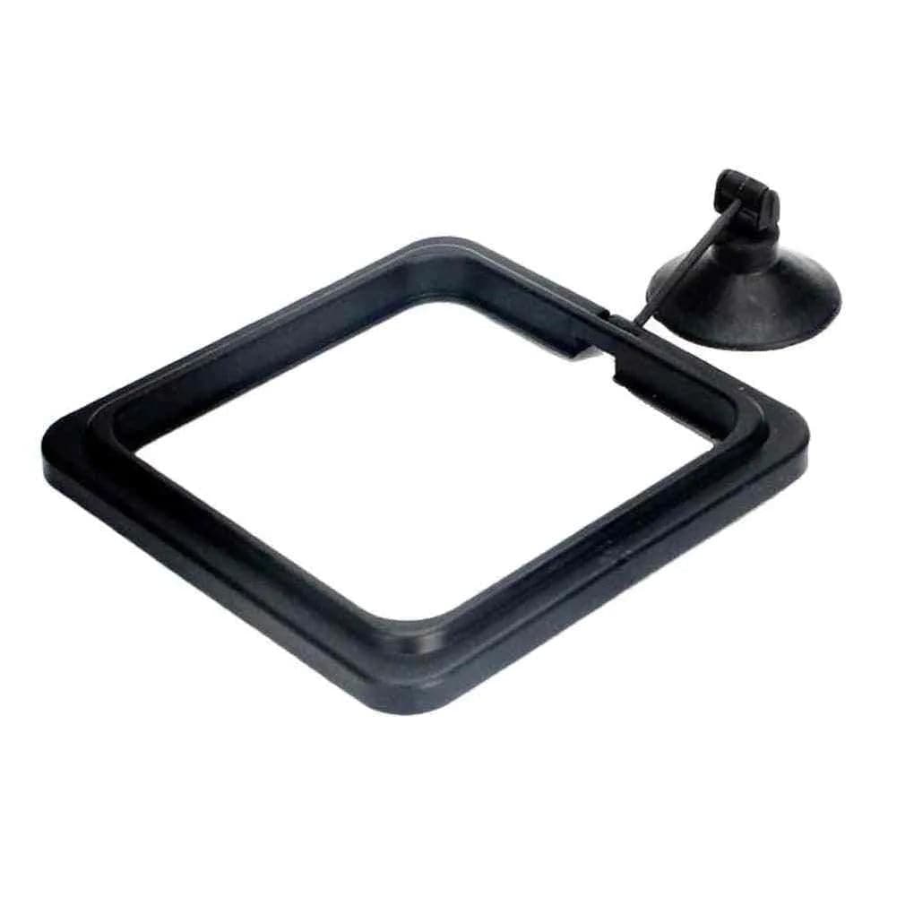 Square & Round Feeding Rings – Clean, Easy Feeding for Aquariums