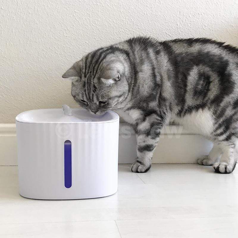 Cat Water Fountain – Automatic Silent Water Fountain with LED Light