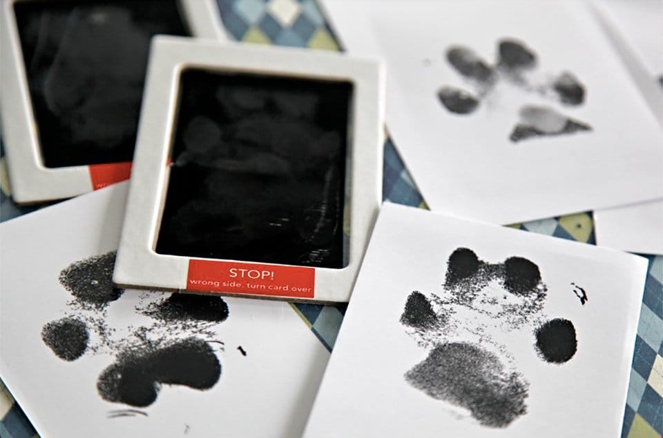 Paw Print Memory Ink Pad — Mess-Free Paw Print Keepsake for Pets