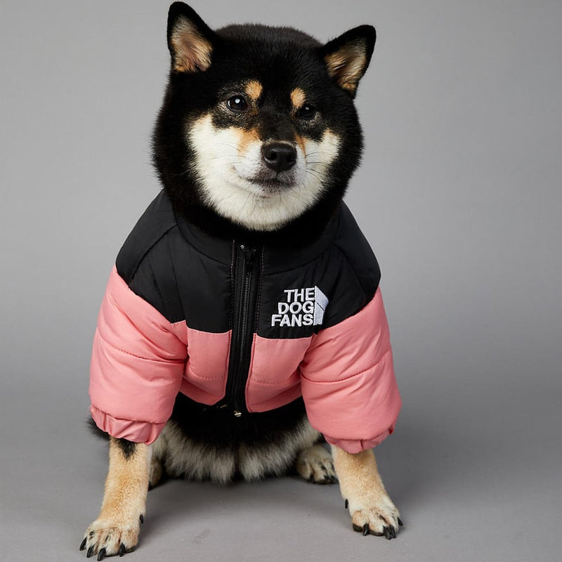 The Dog Fans Thermal Jacket – Keep Your Dog Warm in Style