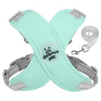 Adjustable Dog Leash – Durable Leash with Comfortable Grip