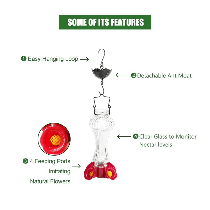 Glass Hummingbird Feeder – Nectar Feeder for Outdoor Garden Use