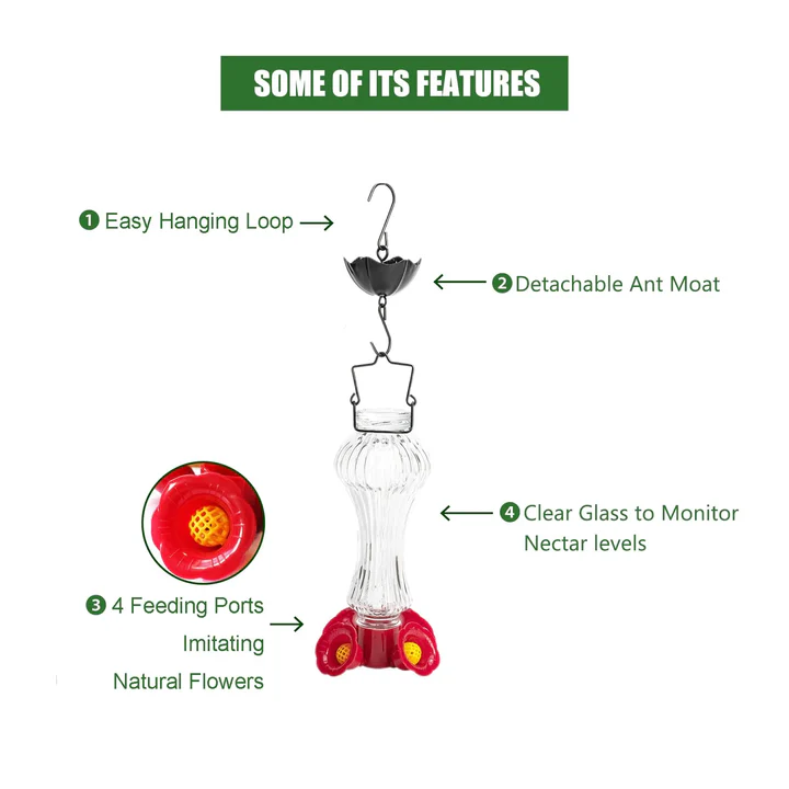 Flowers Glass Hummingbird Feeder – Elegant, Durable & Ant-Proof