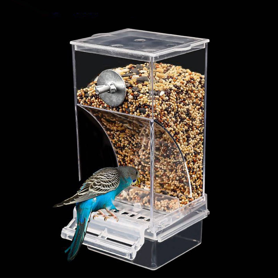 Automatic Gravity Bird Feeder – Clean, Dry & Always Available