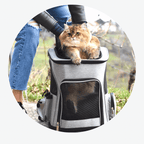 Expandable Cat Carrier Bag – Large Travel Carrier for Cats