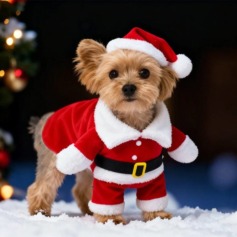 Red Santa Claus Dog Costume and Hat