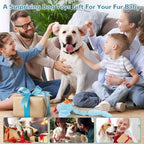 Squeaky Plush Dog Toy — Soft Plush Comfort with Built-In Squeaker