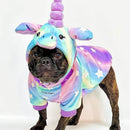 Limited Edition Halloween Dog Hoodie – Cozy, Stylish & Spooky-Cute