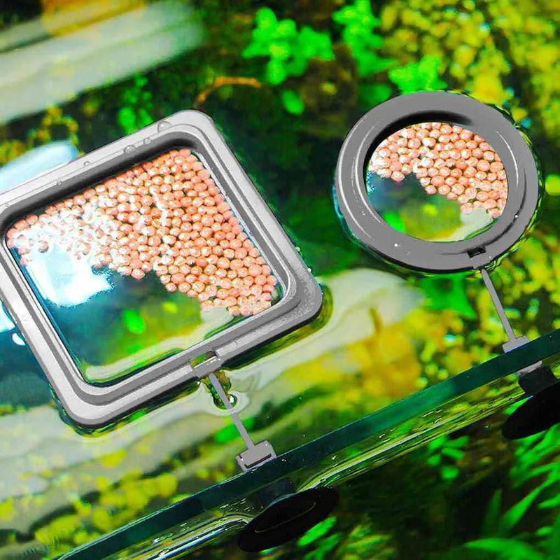 Square and Ring Feeding Frame for Fish Aquarium