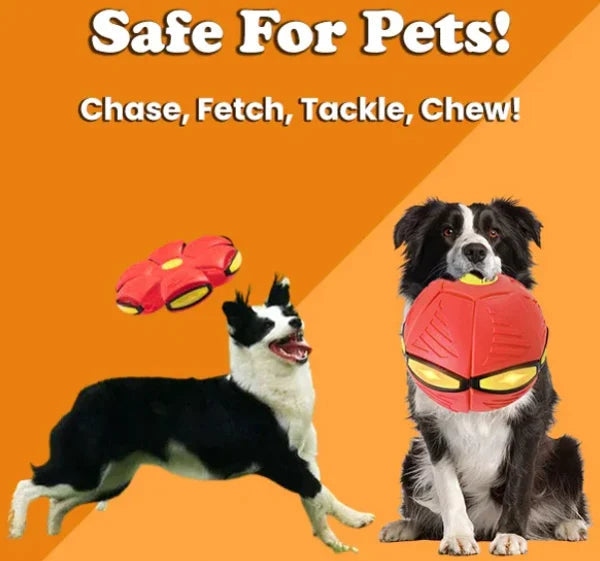 Doggy Disc Ball – 2-in-1 Interactive Fun for Dogs of All Sizes