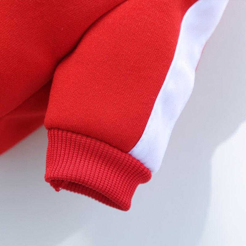 Dog wearing cozy Pomii pet jacket showing secure button closure