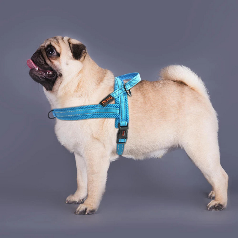 Comfortable Dog Harness – Soft, Padded & Secure for Stress-Free Walks