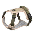 Blue adjustable dog harness shown on a sitting dog outdoors