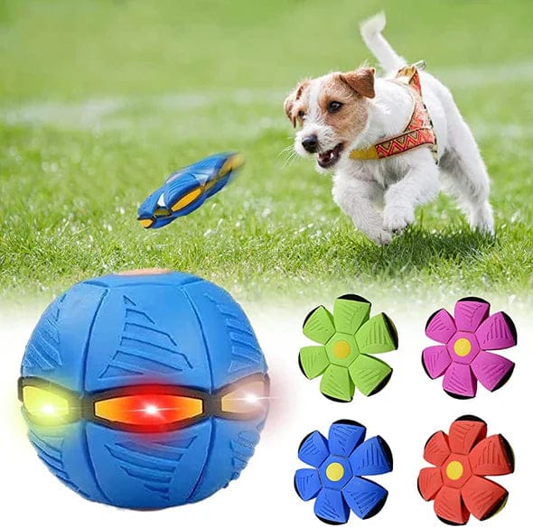 Dog Disc Ball Toy — 2-in-1 Fetch & Rolling Play for Active Dogs