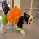 Dog Pumpkin Halloween Costume – Fun & Cozy Outfit