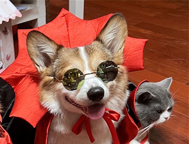 Vampire Pet Costume – Halloween Cape King/Queen