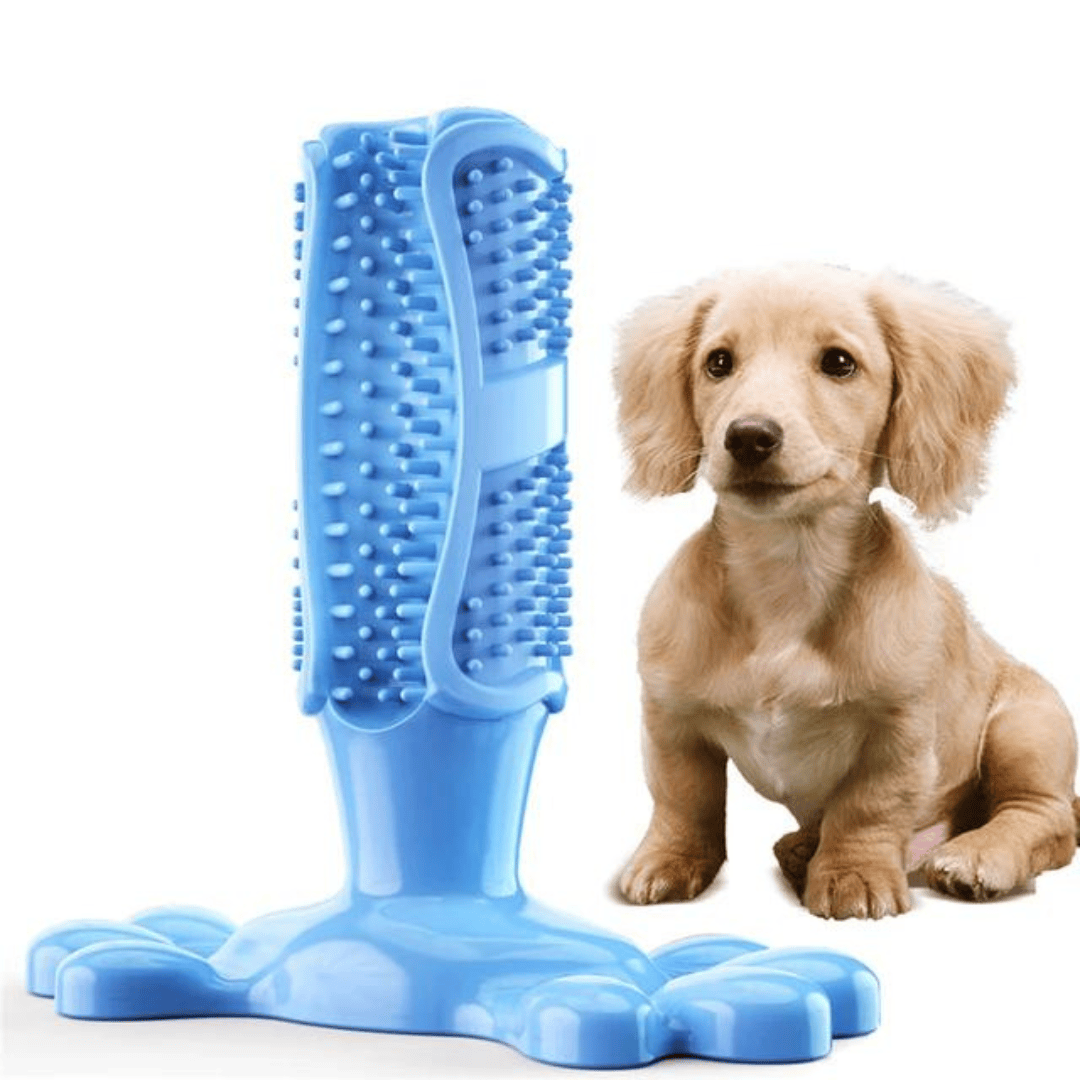 CleanTeeth Dog Dental Chew Toy — Gentle Teeth Cleaning with Everyday Play