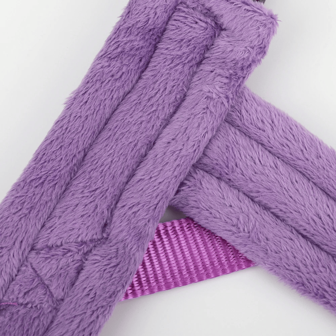 Comfortable Dog Harness — Soft Padded Fit for Everyday Walks