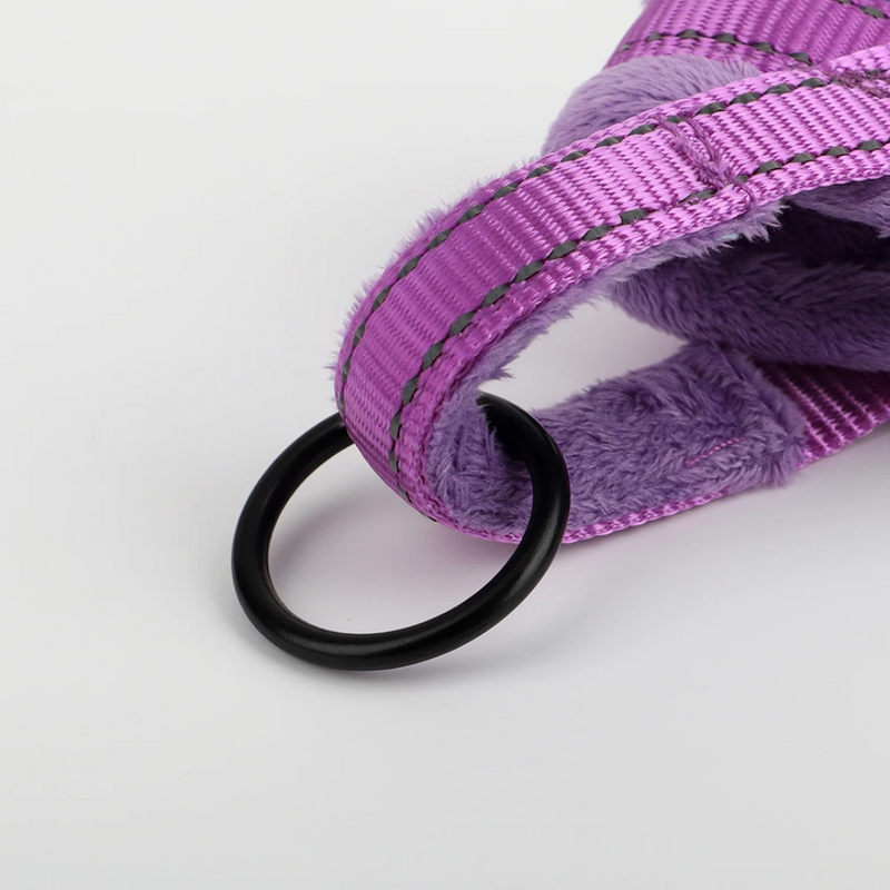 Comfortable Dog Harness – Soft, Padded & Secure for Stress-Free Walks