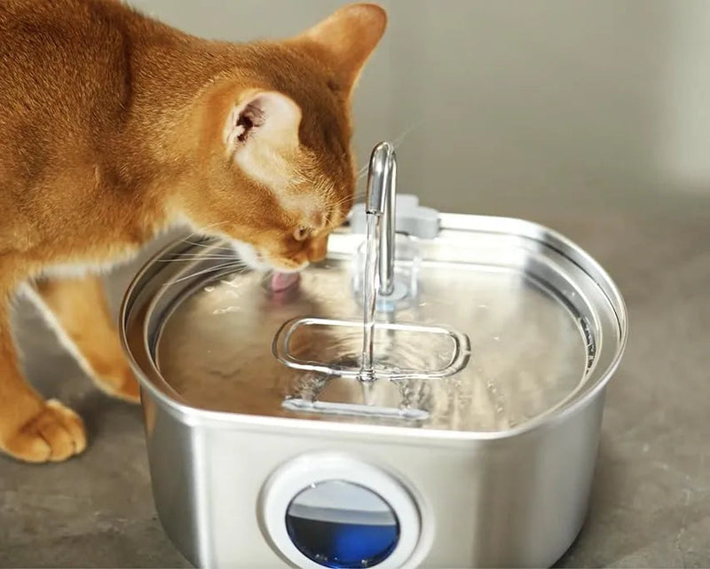 Stainless Steel Pet Water Fountain – Quiet, Large & Healthy