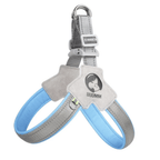 Close-up of reflective safety stitching on adjustable dog walk harness